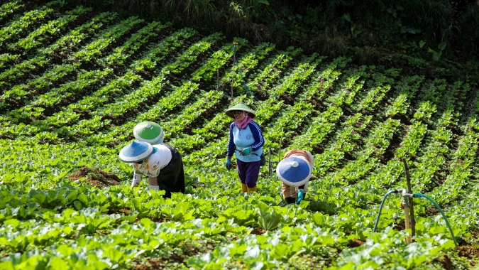 China coloca segurança alimentar no centro da estratégia nacional e amplia investimentos para reduzir dependência externa