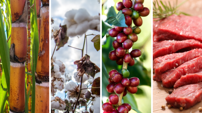 Exportações do agronegócio batem novo recorde para os meses de fevereiro e atingem US$ 11,63 bilhões