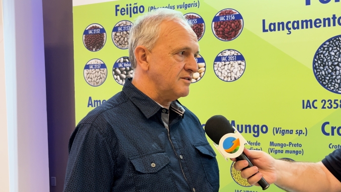 Menos de 20% do plantio no Brasil é feito com sementes certificadas de feijão; cenário precisa mudar