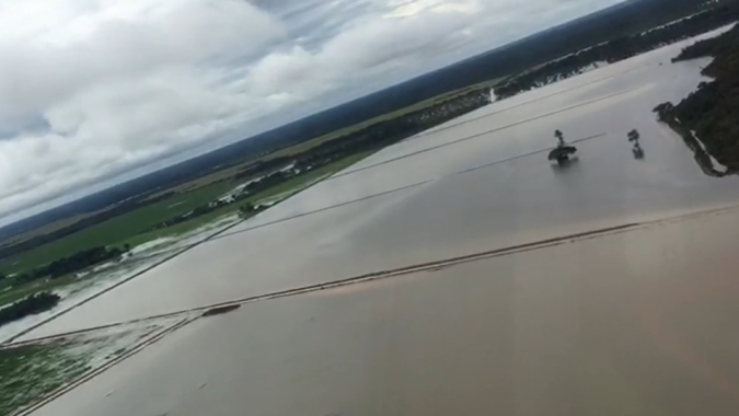Soja: Colheita começa com clima comprometendo a safra em todo BR, dificultando estimativas