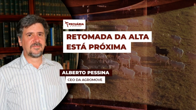 Efeito geada, que elevou oferta de animais, deve acabar nos próximos dias o que favorece alta da arroba ainda em julho