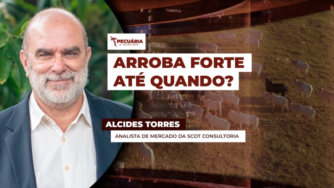 Arroba do boi tem nova rodada de alta sustentada pela corrida dos frigoríficos para cumprir cota Chinesa