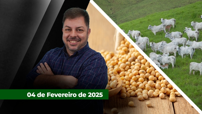 Soja sobe forte em Chicago mas dólar e prêmio limitam ganhos no Brasil , enquanto frigoríficos iniciam testes para pressionar arroba do boi