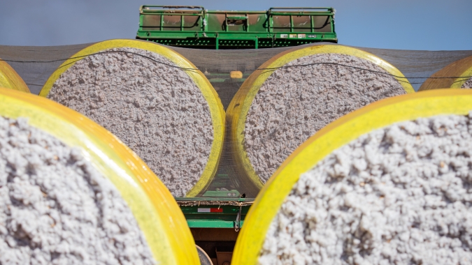 USDA: Vendas semanais de algodão dos EUA 21/22 totalizam apenas 354,20 mil fardos