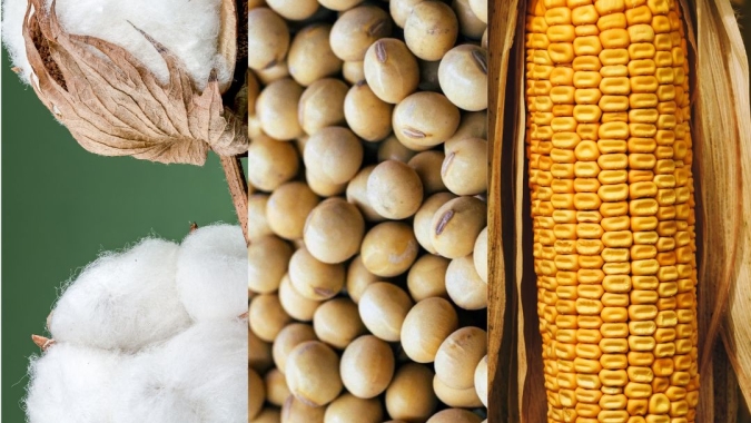 Geopolítica e apetite ao risco invertem sinal e commodities agrícolas voltam a subir; soja avança na CBOT