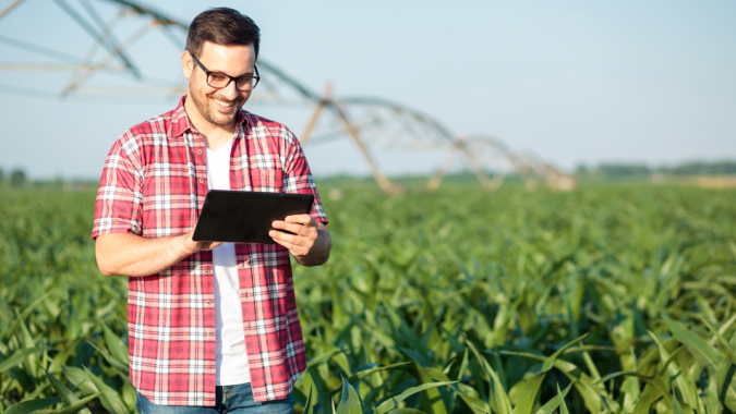 Plantar Educação disponibiliza cursos gratuitos sobre agronegócio