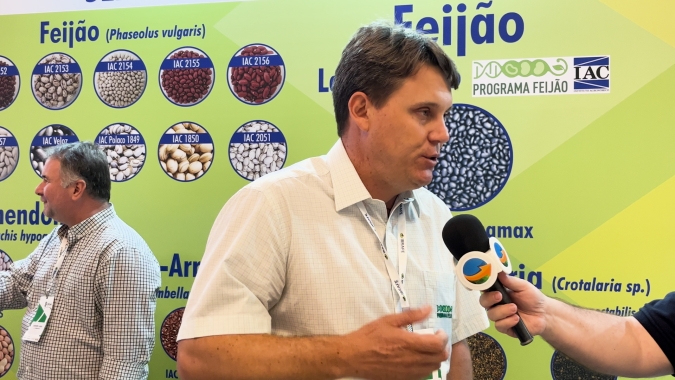 Novas pesquisas com feijões priorizam tolerância ao calor, escurecimento lento, porte para colheita mecanizada e resistência à antracnose