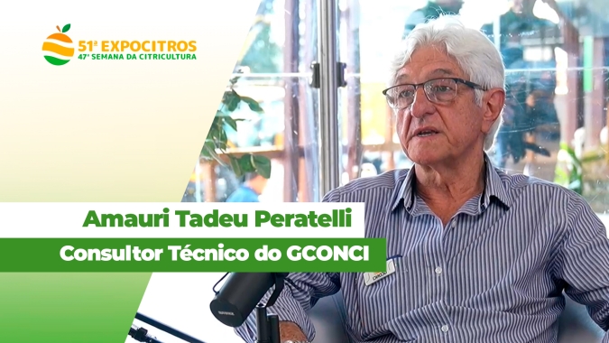 Citricultor não fecha as contas com os atuais preços pagos pela laranja; problema é global