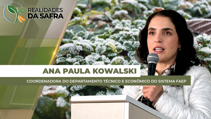 A cevada ganha importância e relevância como opção de cultura de inverno no Brasil