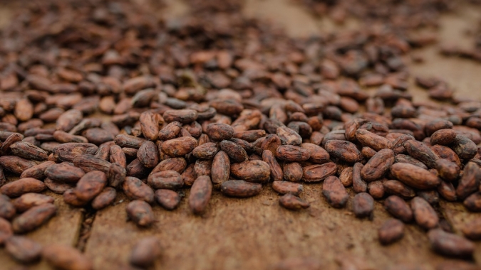 Do cacau ao chocolate: uma transformação que adoça mais a vida