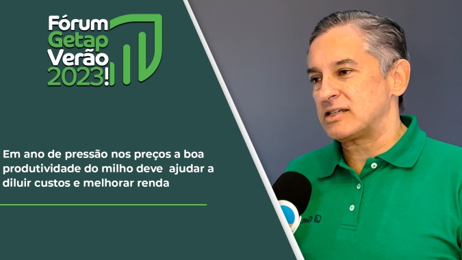 Em ano de pressão nos preços, boa produtividade do milho deve  ajudar a diluir custos e melhorar renda