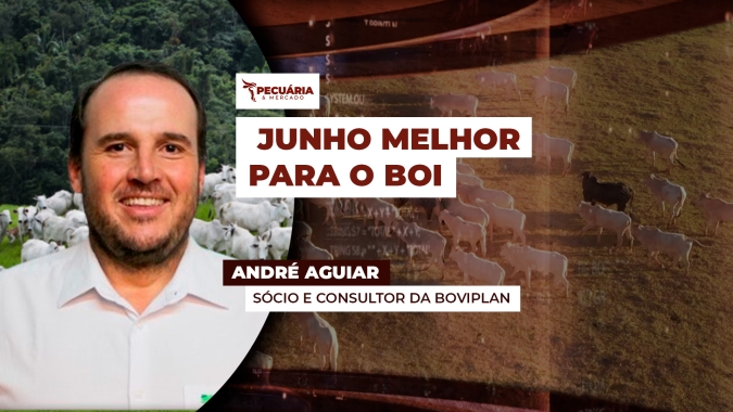 Junho começa com encurtamento das escalas de abate, tendência de aumento nas demandas e até reação pontual da arroba