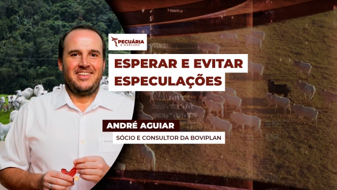 Mercado do boi segue insano e com frigoríficos aproveitando para testar novos preços da arroba