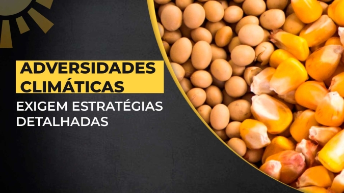 Soja, milho e pecuária: Adversidades climáticas exigem estratégias comerciais detalhadas