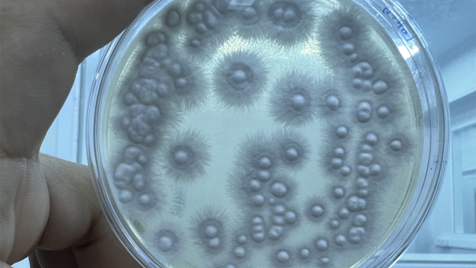 Entidades enviam carta ao Presidente da República demonstrando preocupação sobre os debates no Congresso Nacional em relação à produção de bioinsumos para uso próprio