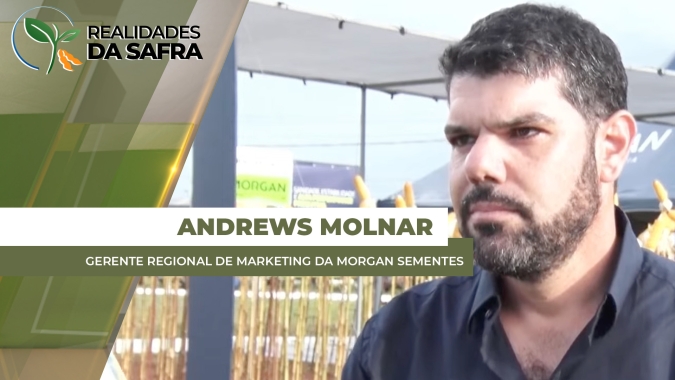 Campo Novo do Parecis/MT cultiva 17% do milho do MT, o que reforça necessidade de escolhas assertivas