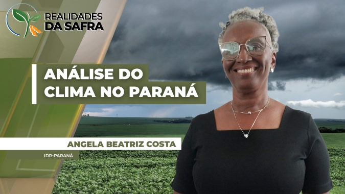 IDR-Paraná avalia impactos climáticos nas lavouras paranaenses após primeira onda de frio do ano