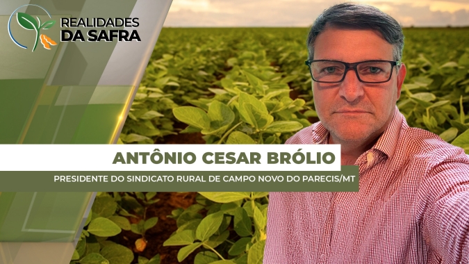 Com 20% da soja colhida, Campo Novo do Parecis/MT vem registrando boas produtividades