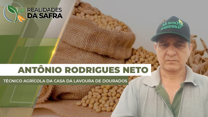 Produtividade da soja de Laguna Carapã/MS deve ficar abaixo de 40 scs/ha após safra com chuvas abaixo da média