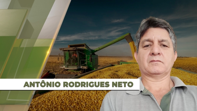 Média de produtividade do milho safrinha em Laguna Carapã deve ficar entre 40 a 42 sacas por hectare, diz especialista
