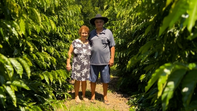 Investimento do Governo de MT impulsiona produtores de café do estado