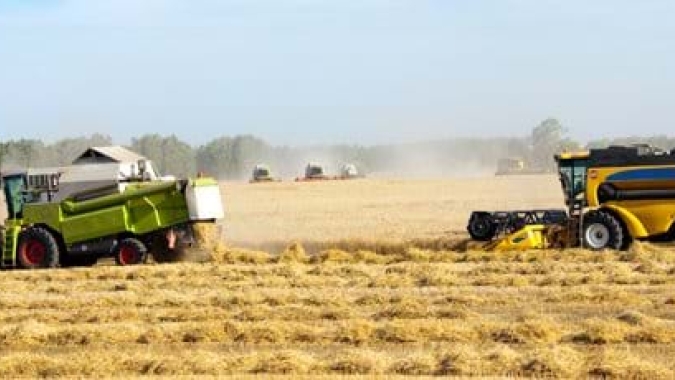 Rússia vê danos em até 6% das safras de inverno