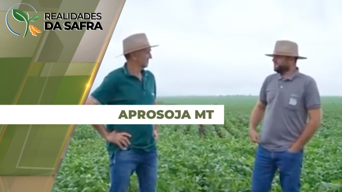 Aprosoja MT reporta atrasos e dificuldades de plantio da soja em Rondonópolis, Juscimeira e Campo Verde