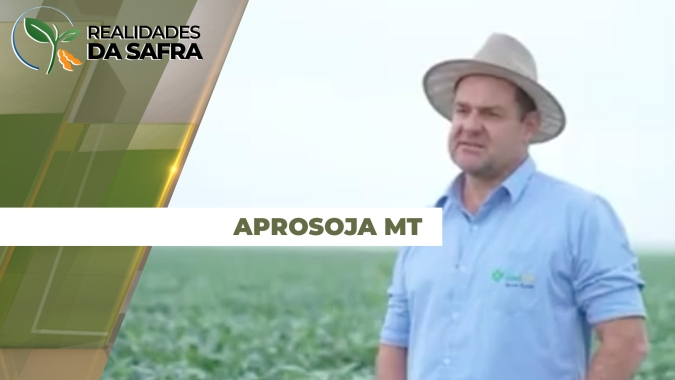 Alto Taquari/MT e Alto Garças/MT sofreram com falta de chuvas para as lavouras de soja