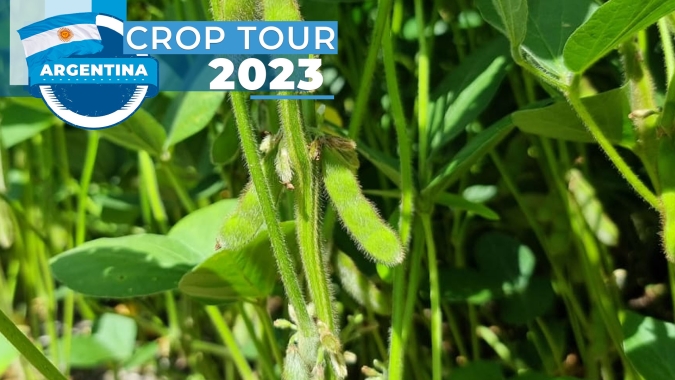 Crop Tour Argentina 2023 chega a La Pampa e Buenos Aires e encontra lavouras melhores de soja e milho