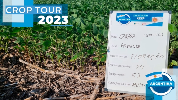 Crop Tour Argentina: Safra 2022/23 será de menos de 40 mi de t e instuições deverão seguir revisando suas estimativas