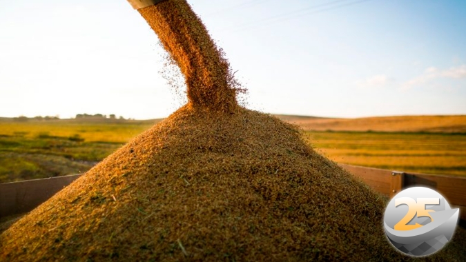 Exportação de arroz subiu 800% em janeiro/22 e restante do ano deve seguir aquecido
