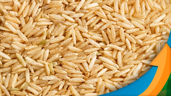 Federarroz alerta para preços atuais do arroz que mal cobrem os custos de produção