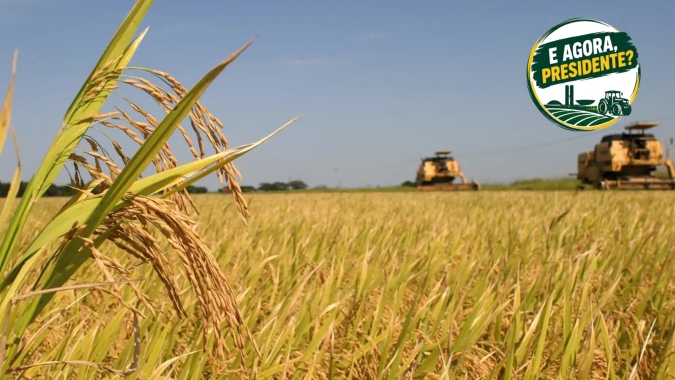 Arroz cobra do próximo governo crédito mais barato e medidas para recuperar competitividade