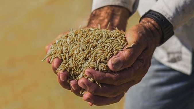 Mercado externo pauta encontro da Federarroz com ministro da Agricultura
