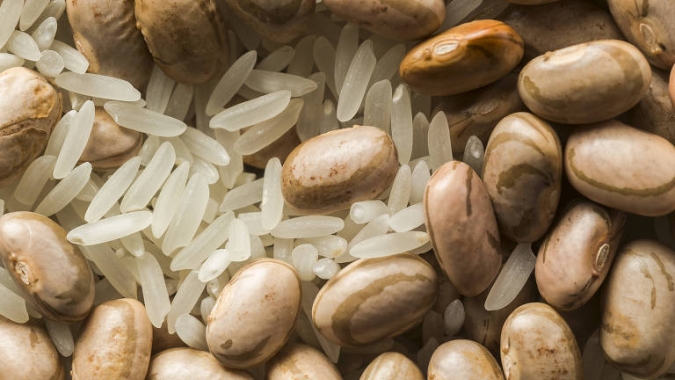 Colheitas de arroz e feijão avançam pelo Brasil, indica Conab