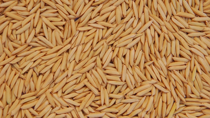 Arroz/Cepea: Cotações sobem mais de 11% em março, mas liquidez segue baixa no RS