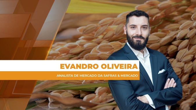 Mercado do arroz em alerta e 2026 pode ser ainda mais desafiador para o setor