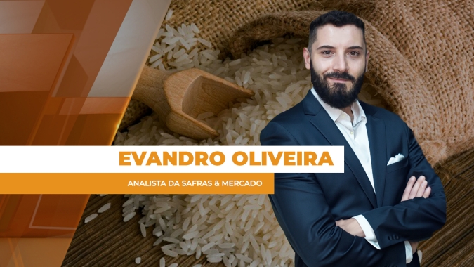 Conflitos no Oriente Médio deixam setor de arroz no BR em alerta sobre custos de produção maiores, logística mais cara e escoamento global