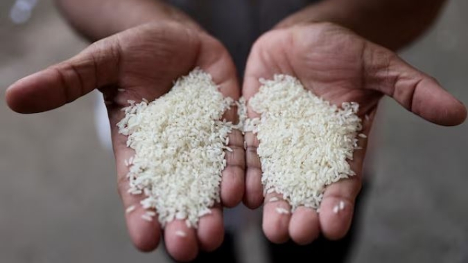 Conab: Leilões para aquisição de sementes de arroz são destinados a produtores no Rio Grande do Sul