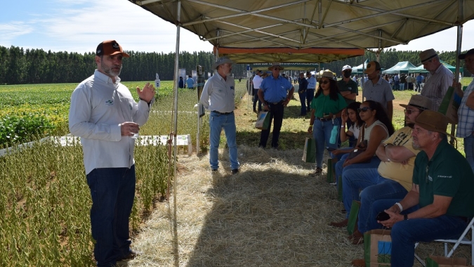 Embrapa e Fundação Cerrados apresentam variedades de soja em Dia de Campo