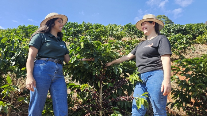 Agricultores familiares triplicam renda com investimento em torrefação e venda direta de café em Minas Gerais