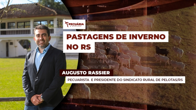 Pecuarista do RS fala sobre as condições das pastagens de inverno e do atual momento da pecuária gaúcha