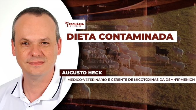 Estudo da dsm-firmenich aponta para contaminação por micotoxinas em mais de 80% das amostras de grãos e ração analisadas em 2025