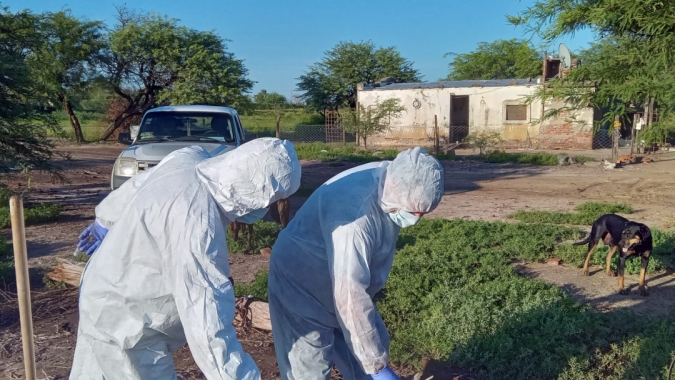 Casos de gripe aviária na Argentina sobem para 36