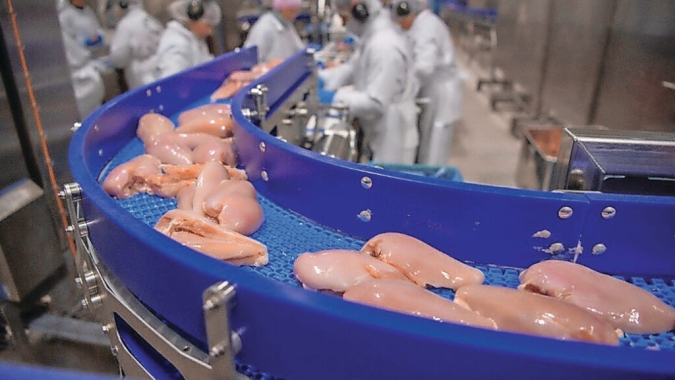 Conflito no Oriente Médio interrompe cadeias de suprimento e pressiona exportações de frango no mundo