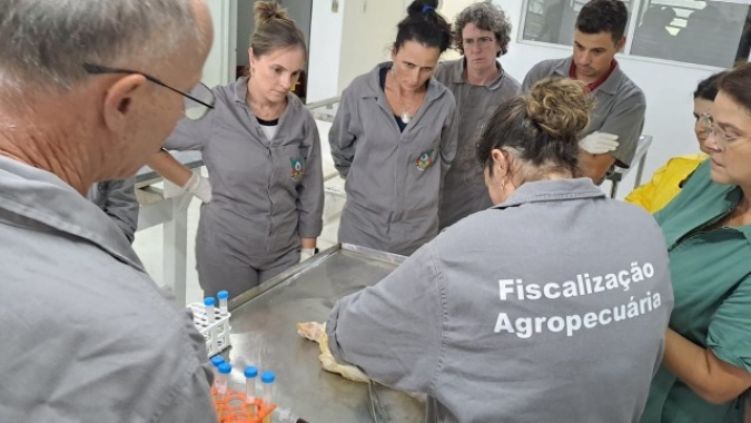 Secretaria de  Agricultura do RS já conduziu 770 ações de vigilância ativa para influenza aviária