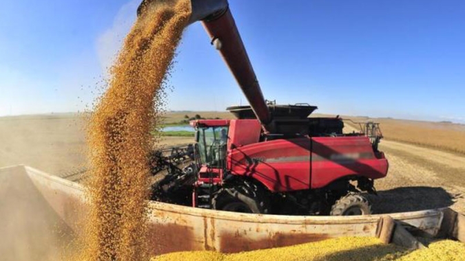 Rally da Safra fecha produção de soja 21/22 em 124,6 milhões de toneladas