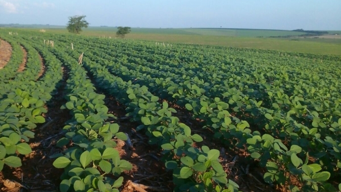 Prazo para análise de financiamento de imóvel para agricultores familiares diminui de dois anos para até seis meses
