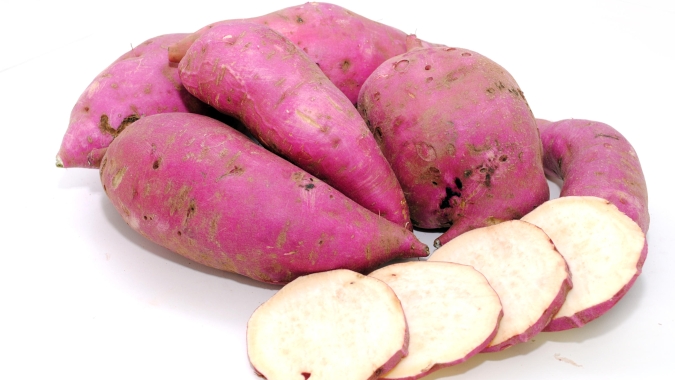 Crédito Emergencial: Governo de SP libera R$ 5 milhões para produtores de batata-doce e mandioca afetados pela estiagem