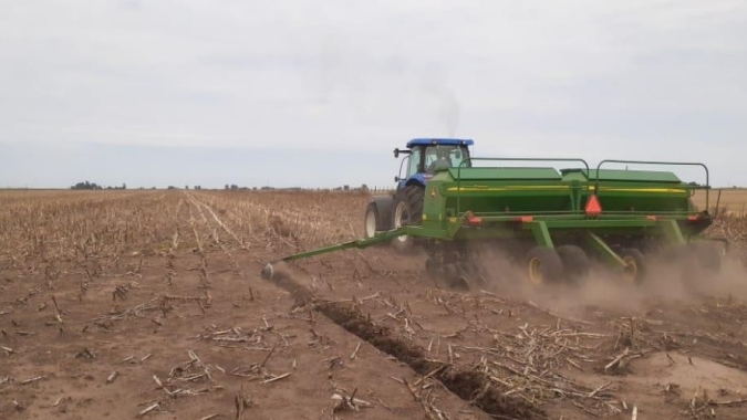 Plantio de soja ganha ritmo no Matopiba; clima preocupa em MT e PR, diz AgRural